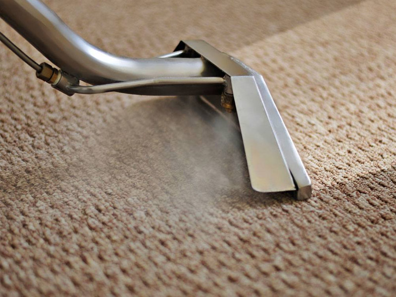 Carpet Steam cleaner