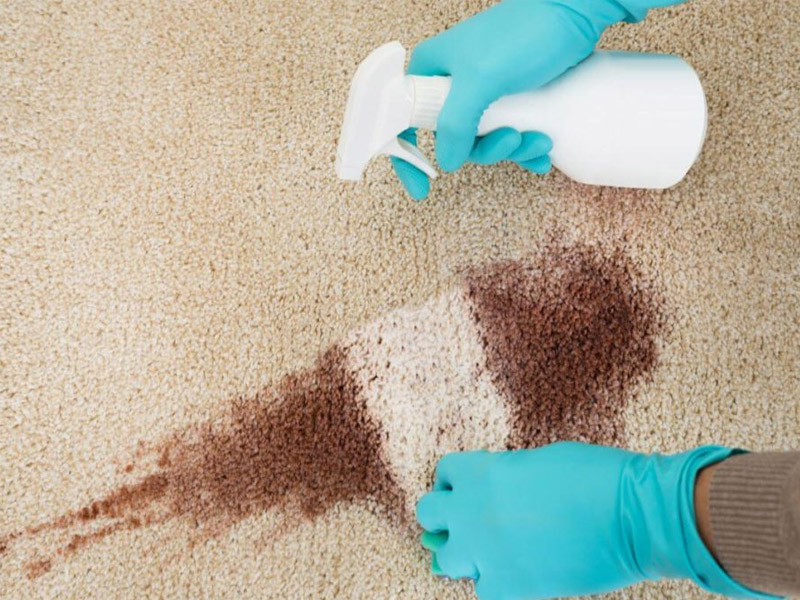 Stain Removal From Carpet