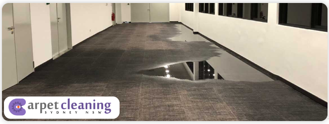 Flood Damage Restoration Sydney