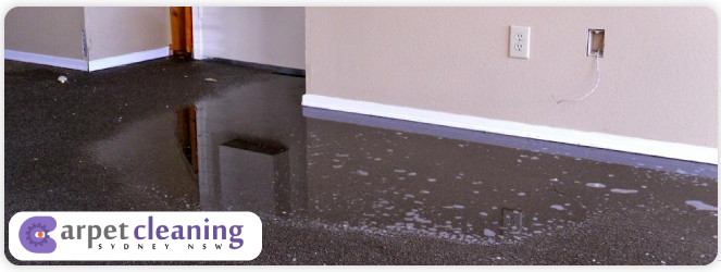 Water Damage Carpet Restoration