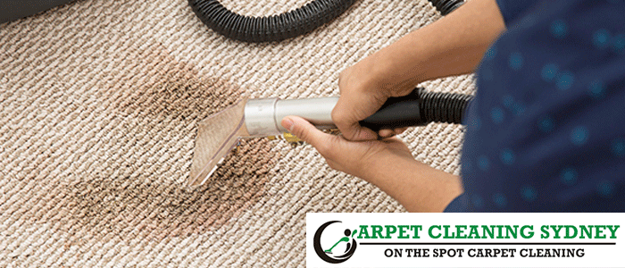 Professional Carpet Cleaning