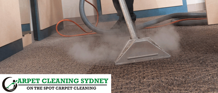 Professional Carpet Steam Cleaning